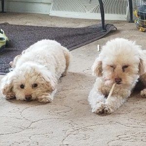 Meet your Posher, Kelley